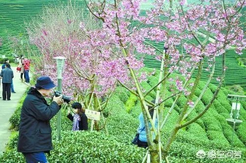 2018年农业的商机有哪些?