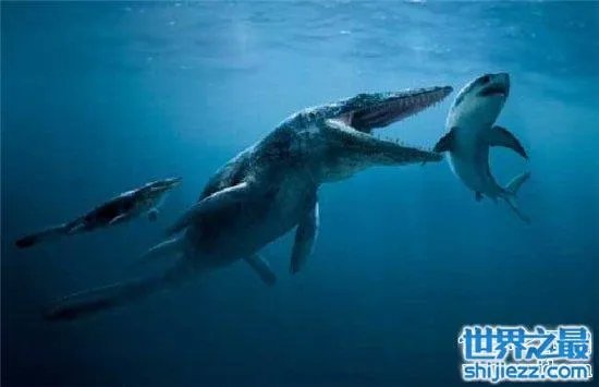 伊西斯龙王鲸是一种远古生物，曾是海洋中的霸主 