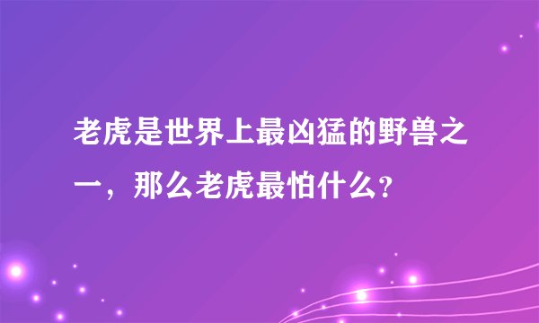 老虎是世界上最凶猛的野兽之一，那么老虎最怕什么？