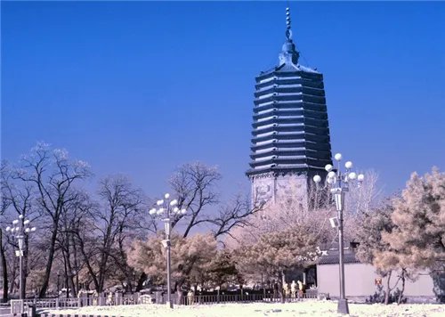 2017辽阳市房价走势图 辽阳买房注意事项搞清不被坑