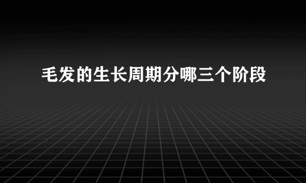 毛发的生长周期分哪三个阶段