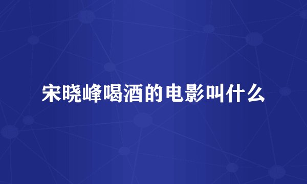 宋晓峰喝酒的电影叫什么
