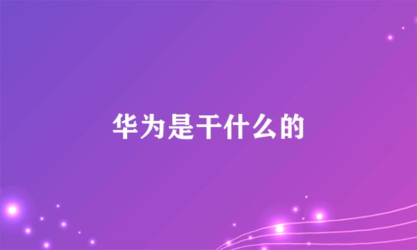 华为是干什么的
