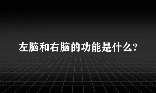左脑和右脑的功能是什么?