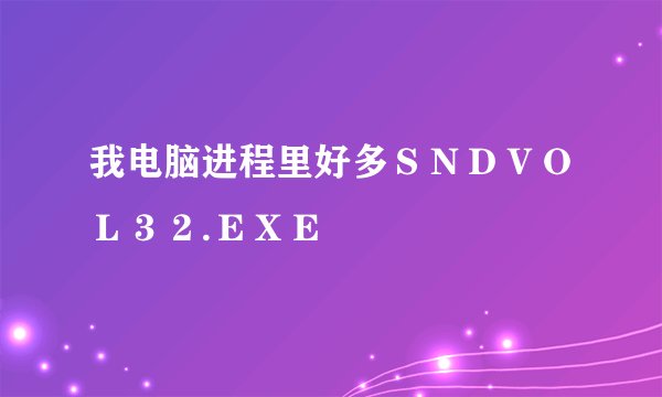 我电脑进程里好多ＳＮＤＶＯＬ３２.ＥＸＥ