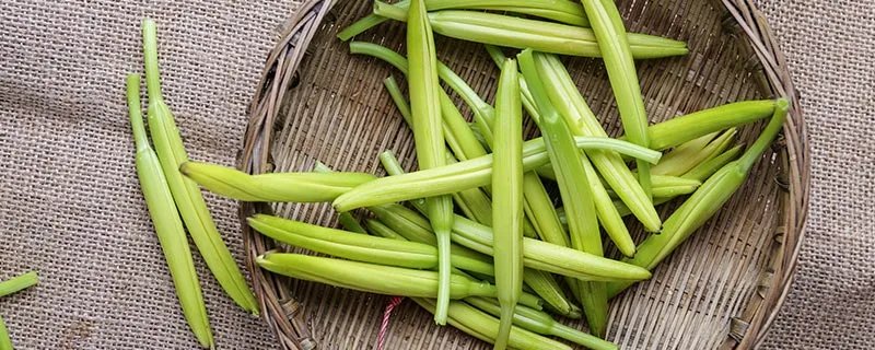 鲜黄花菜中含有的毒素是什么