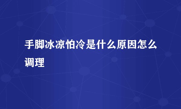 手脚冰凉怕冷是什么原因怎么调理