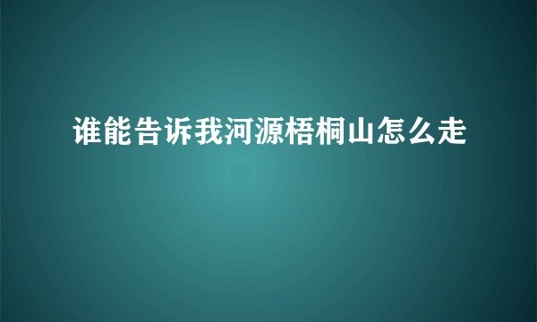 谁能告诉我河源梧桐山怎么走