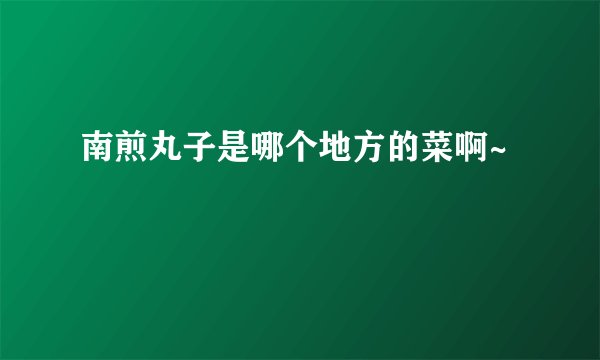 南煎丸子是哪个地方的菜啊~