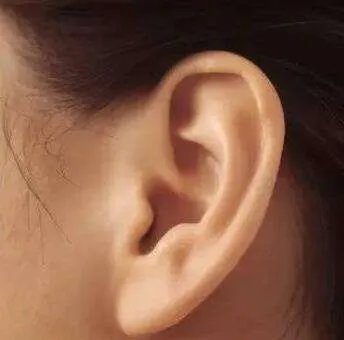 耳朵长这样的男人注定成大事：看看你有没有（图）