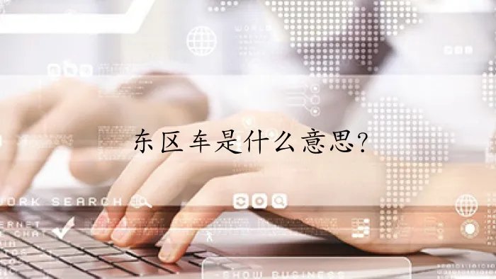 东区车是什么意思？