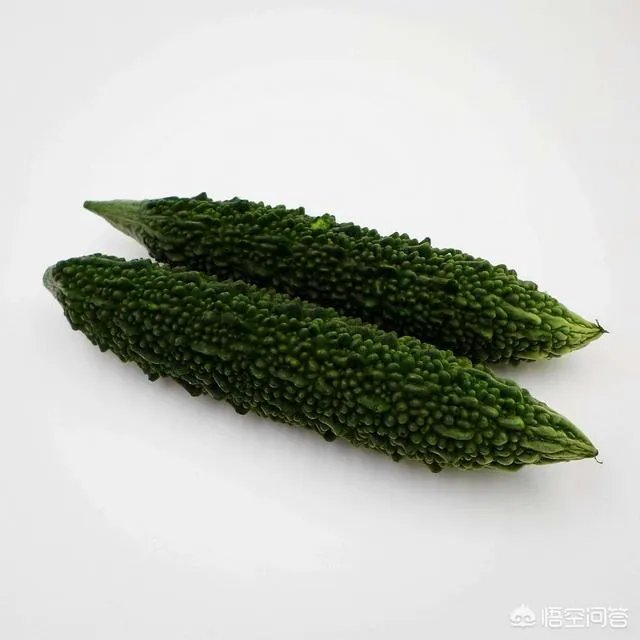 种植黑苦瓜的时候,和普通的苦瓜有哪些区别吗,如何种植黑苦瓜?