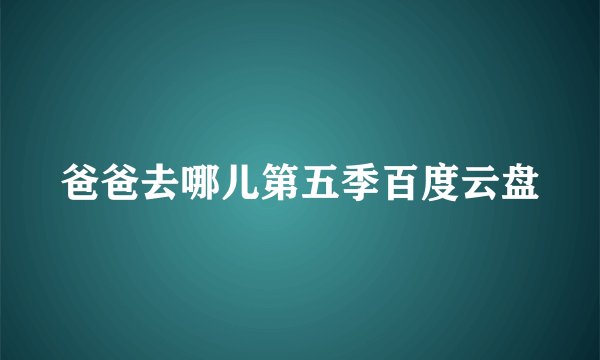 爸爸去哪儿第五季百度云盘