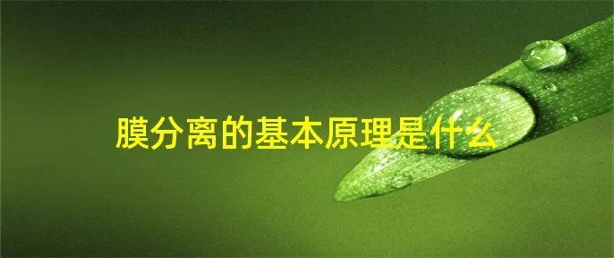 膜分离的基本原理是什么