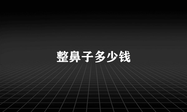 整鼻子多少钱