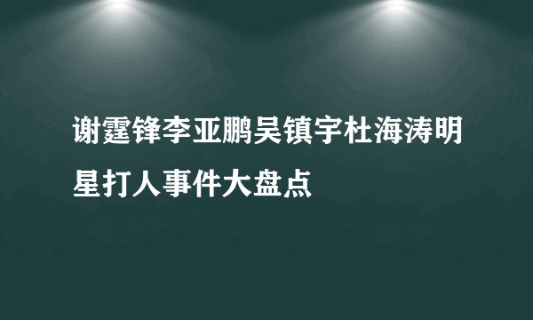 谢霆锋李亚鹏吴镇宇杜海涛明星打人事件大盘点