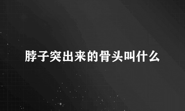 脖子突出来的骨头叫什么