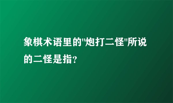 象棋术语里的