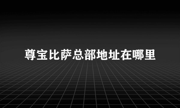 尊宝比萨总部地址在哪里