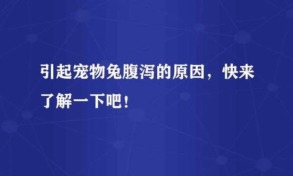 引起宠物兔腹泻的原因，快来了解一下吧！