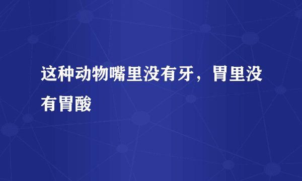 这种动物嘴里没有牙，胃里没有胃酸