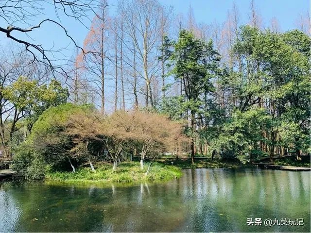 杭州的太子湾公园好玩吗?是否值得周末去玩?