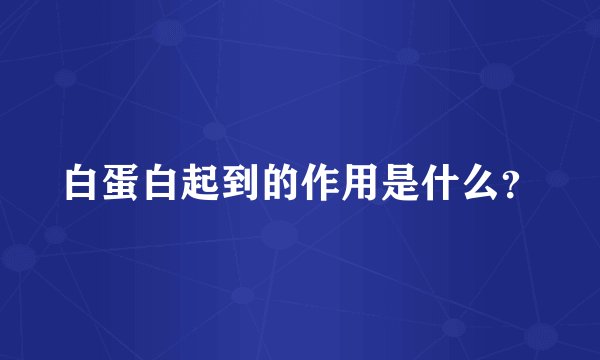 白蛋白起到的作用是什么？
