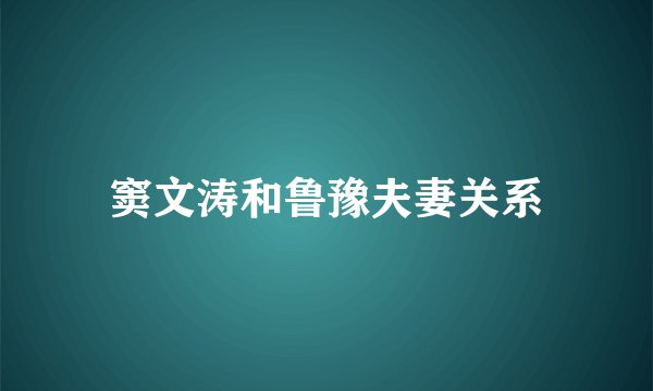 窦文涛和鲁豫夫妻关系