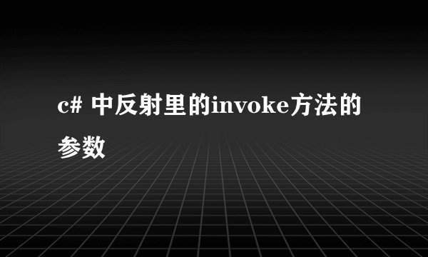 c# 中反射里的invoke方法的参数