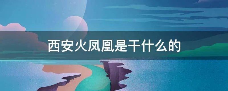 西安火凤凰是干什么的