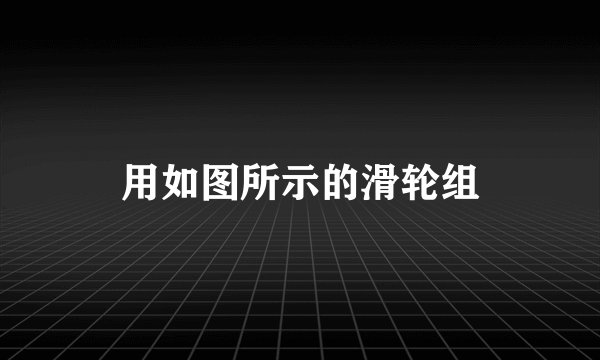 用如图所示的滑轮组