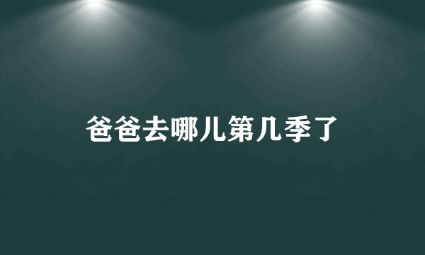 爸爸去哪儿第几季了