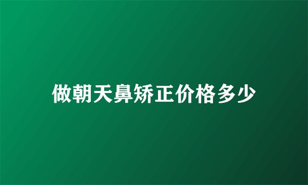 做朝天鼻矫正价格多少