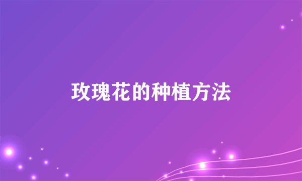 玫瑰花的种植方法