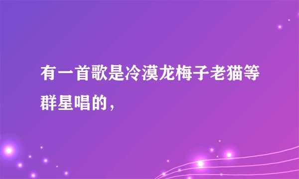 有一首歌是冷漠龙梅子老猫等群星唱的,