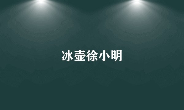 冰壶徐小明