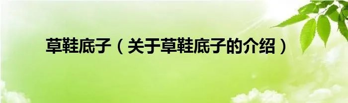 草鞋底子（关于草鞋底子的介绍）