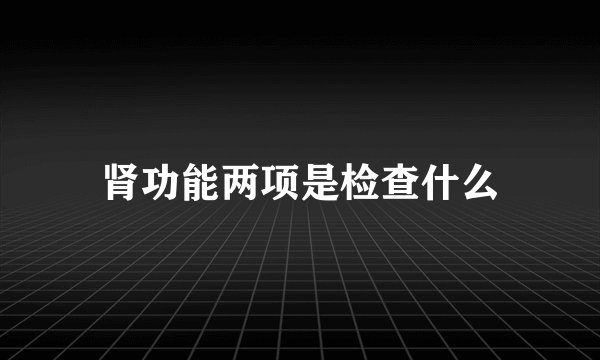 肾功能两项是检查什么