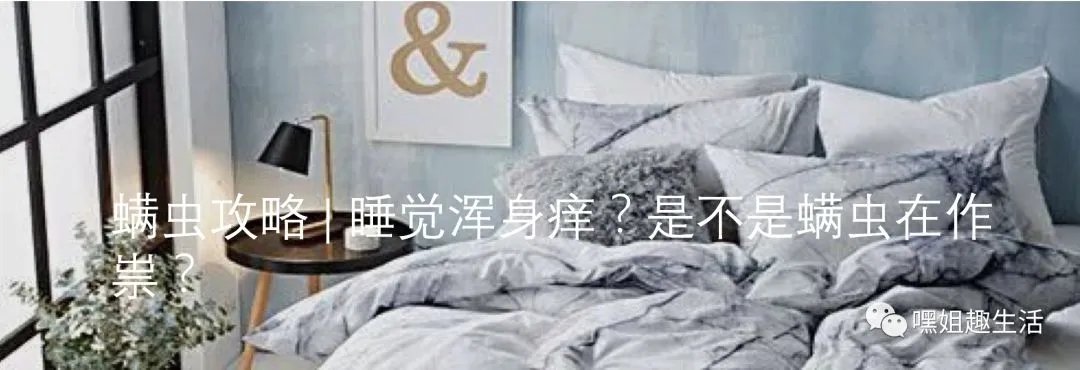 年底感恩季,哪些是最走心的礼物?(文末送礼!)
