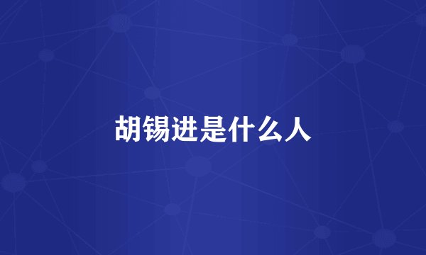 胡锡进是什么人
