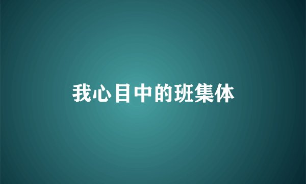 我心目中的班集体