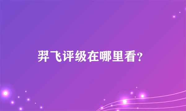 羿飞评级在哪里看?