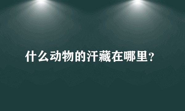 什么动物的汗藏在哪里？