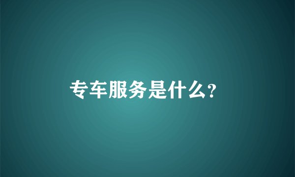 专车服务是什么？