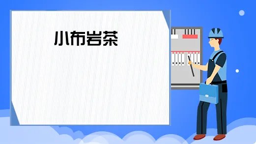 小布岩茶