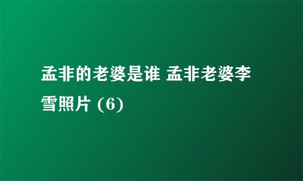 孟非的老婆是谁 孟非老婆李雪照片 (6)