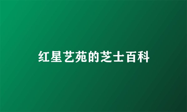 红星艺苑的芝士百科