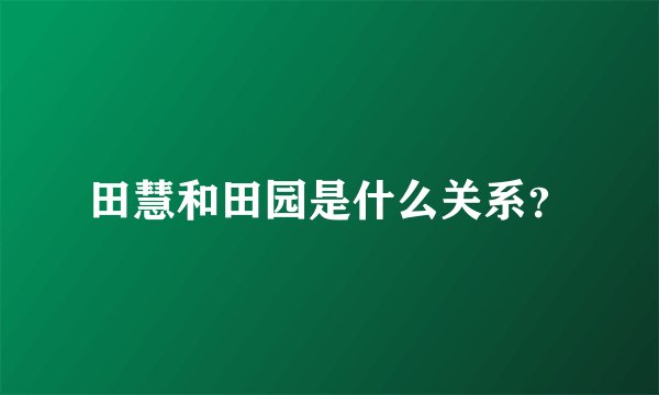 田慧和田园是什么关系？
