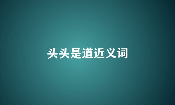 头头是道近义词