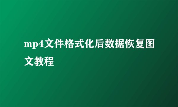 mp4文件格式化后数据恢复图文教程